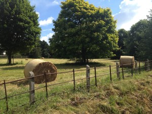 countrysideengland