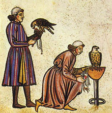 Falconers